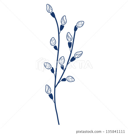 Pussy willow branch silhouette, graphic outline template. Hand drawn vector isolated illustration. For Easter and seasonal designs, greeting cards, travel magazines, garden goods, nature clip arts. 135841111