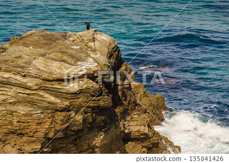 Cathedral Beach in Galicia Spain. 135841426