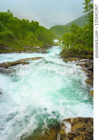 Waterfall along the Aurlandsfjellet Norway Waterfall along the Aurlandsfjellet Norway 135841567
