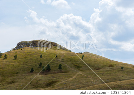 A grassy hill with a rocky crest, scattered trees, and a winding path 135841804