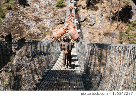Hillary suspension bridge view along EBC trek, Nepal Hillary suspension bridge view along EBC trek, Nepal 135842257