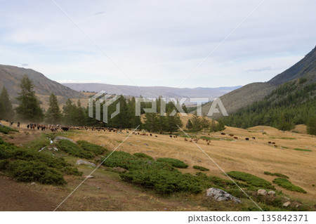 Altai Tavan Bogd National Park landscape, Mongolia Altai Tavan Bogd National Park landscape, Mongolia 135842371
