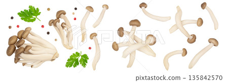 Brown beech mushrooms or Shimeji mushroom isolated on white background . Top view, flat lay 135842570