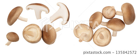 Fresh Shiitake mushroom isolated on white background . Top view. Flat lay 135842572