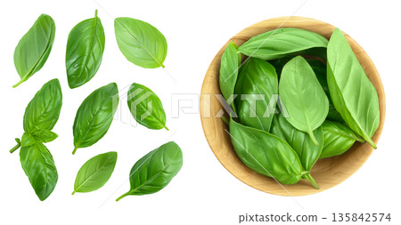 Fresh basil leaf in wooden bowl isolated on white background . Top view with copy space for your text. Flat lay Fresh basil leaf in wooden bowl isolated on white background . Top view with copy space for your text. Flat lay 135842574