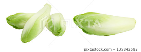 Chicory salad isolated on white background with full depth of field. 135842582