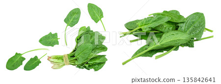 fresh spinach isolated on white background with copy space for your text. Top view. Flat lay fresh spinach isolated on white background with copy space for your text. Top view. Flat lay 135842641