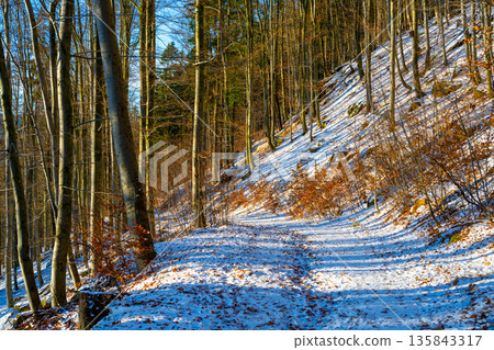 Snow falls on a forest trail surrounded by trees in autumn. Leaves remain on the ground and branches as the season changes to winter. Light shines through the trees creating shadows. Snow falls on a forest trail surrounded by trees in autumn. Leaves remain on the ground and branches as the season changes to winter. Light shines through the trees creating shadows. 135843317