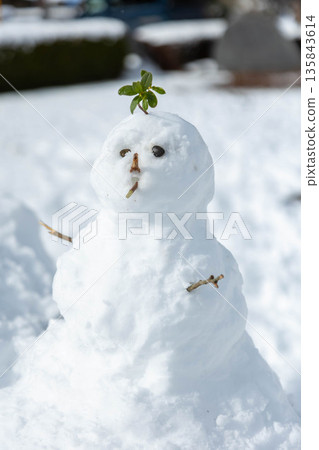 手工雪人 手工雪人 135843614