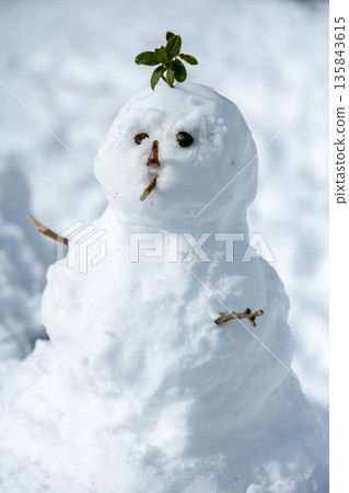 手工雪人 手工雪人 135843615