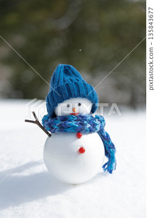 新雪和雪人 新雪和雪人 135843677