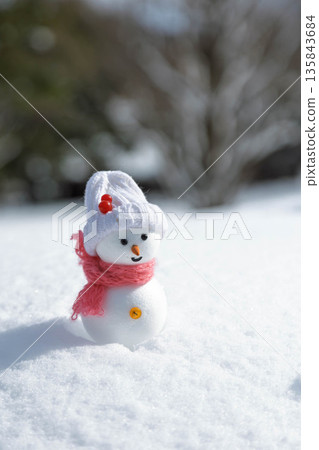 新雪和雪人 新雪和雪人 135843684