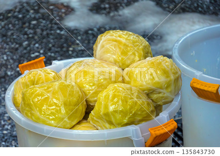 Sauerkraut fermented cabbage 135843730