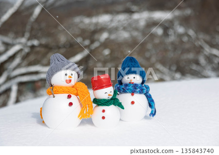新雪和雪人 新雪和雪人 135843740