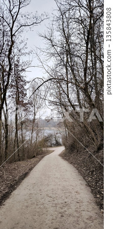 An empty asphalt path in an autumn or winter forest among bare trees An empty asphalt path in an autumn or winter forest among bare trees 135843808
