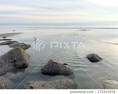 Stunning view at beach with coastal rocks and clear ocean water Stunning view at beach with coastal rocks and clear ocean water 135843858