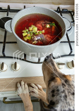 top view of pot of food on stove, dogs watching cooking. scene is warm and inviting. top view of pot of food on stove, dogs watching cooking. scene is warm and inviting. 135843936