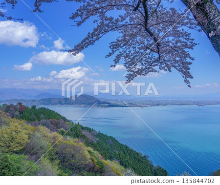 Spectacular view of Lake Biwa and snow-capped Mt. Ibuki in spring over the cherry blossoms in full bloom, Shiga Prefecture, Japan 135844702