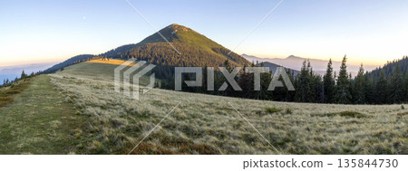 Soft creamy sunset in Carpathian mountains. Grass covered meadow, pine trees and distant mountain peaks. 135844730