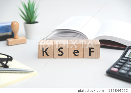 National Polish storing invoice System KSeF. National Polish storing invoice System KSeF. 135844932