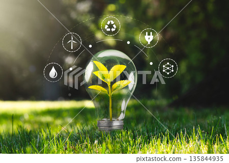 Green growing plant, ecology concept 135844935