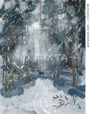 Winter Forest Scene with Deer Christmas Snow Night 135845246