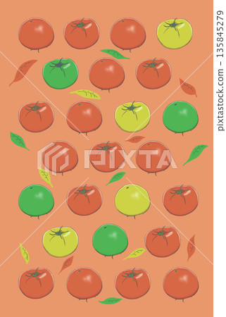 手繪番茄和葉子圖案背景素材 手繪番茄和葉子圖案背景素材 135845279