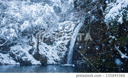 Yokoya Gorge (winter): Shirataki waterfall Yokoya Gorge (winter): Shirataki waterfall 135845368