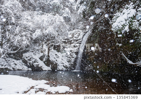Yokoya Gorge (winter): Shirataki waterfall 135845369