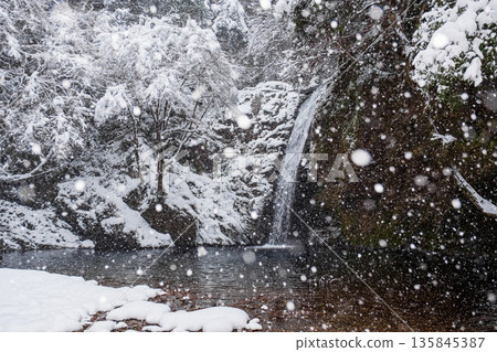 橫屋峽（冬季）：白瀧瀑布 135845387