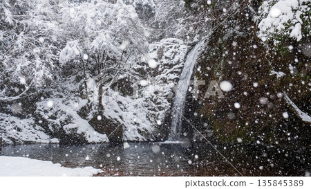 橫屋峽（冬季）：白瀧瀑布 135845389