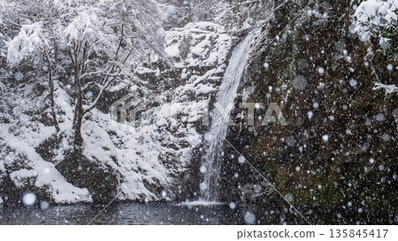 橫屋峽（冬季）：白瀧瀑布 135845417