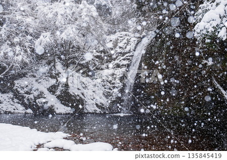 橫屋峽(冬季):白瀧瀑布 橫屋峽(冬季):白瀧瀑布 135845419