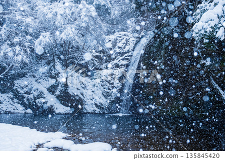 Yokoya Gorge (winter): Shirataki waterfall 135845420