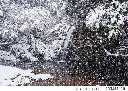 橫屋峽（冬季）：白瀧瀑布 135845426