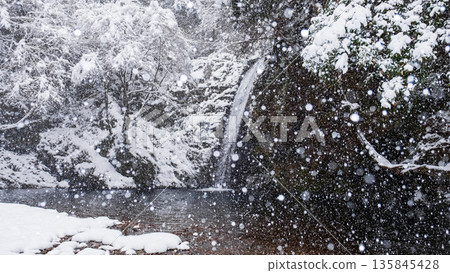 橫屋峽（冬季）：白瀧瀑布 135845428