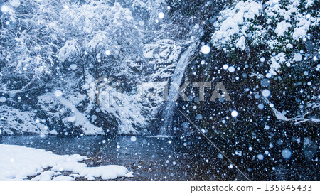 橫屋峽（冬季）：白瀧瀑布 135845433