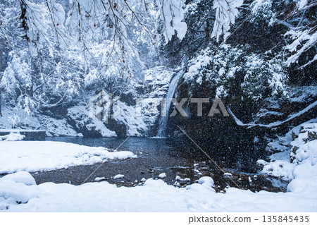 Yokoya Gorge (winter): Shirataki waterfall 135845435