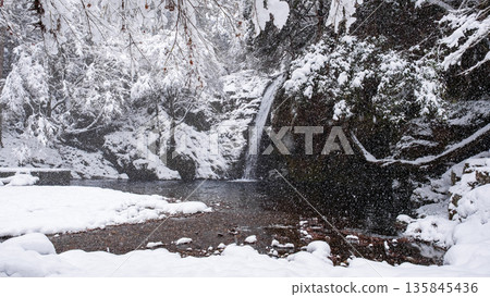 橫屋峽（冬季）：白瀧瀑布 135845436