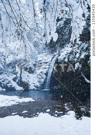 橫屋峽（冬季）：白瀧瀑布 135845439