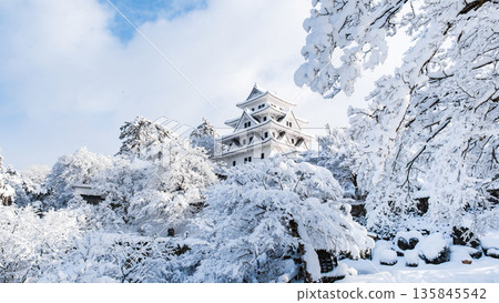 Gujo Hachiman Castle (Winter) 135845542