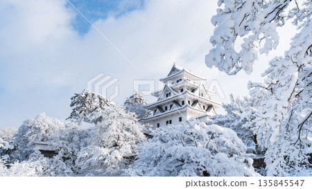 郡上八幡城(冬季) 郡上八幡城(冬季) 135845547