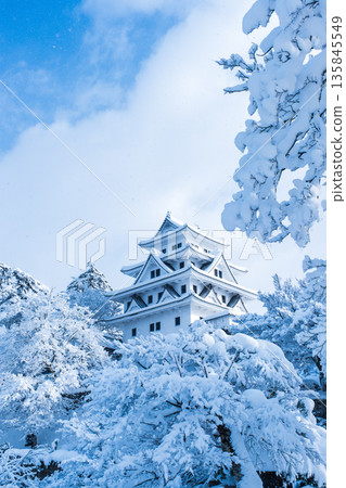 郡上八幡城（冬季） 135845549