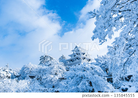 Gujo Hachiman Castle (Winter) 135845555