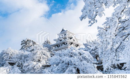 郡上八幡城(冬季) 郡上八幡城(冬季) 135845562