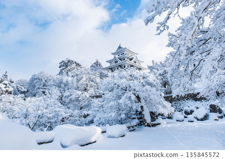 郡上八幡城（冬季） 135845572