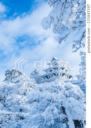 郡上八幡城(冬季) 郡上八幡城(冬季) 135845597