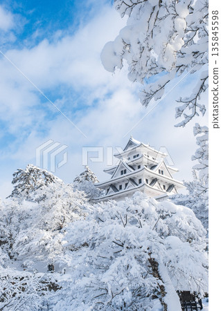 郡上八幡城（冬季） 135845598