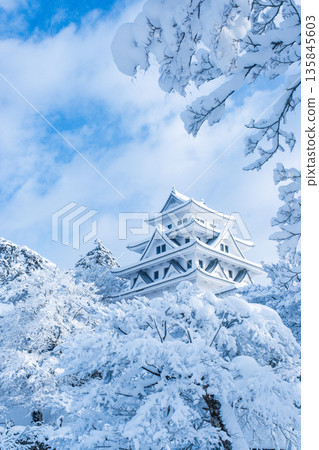 郡上八幡城(冬季) 郡上八幡城(冬季) 135845603