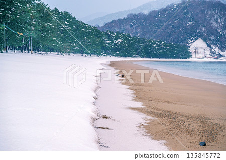 凱希松樹林雪灘 135845772